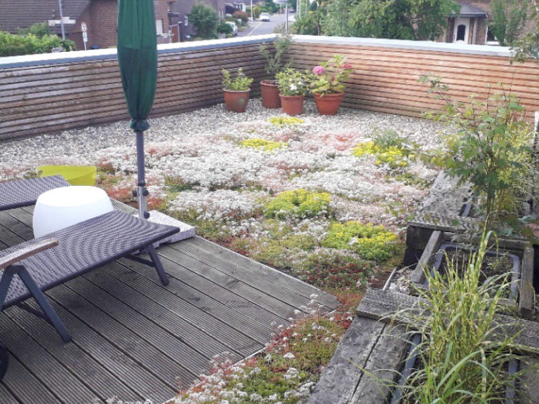 Gründach-Komplettpaket fürs Flachdach inkl. Substrat und Sprossen oder Flachballenstauden - Dachbegrünung - Dachbepflanzung Gründach-Komplettpaket fürs Flachdach inkl. Substrat und Sprossen oder Flachballenstauden - Dachbegrünung - Dachbepflanzung