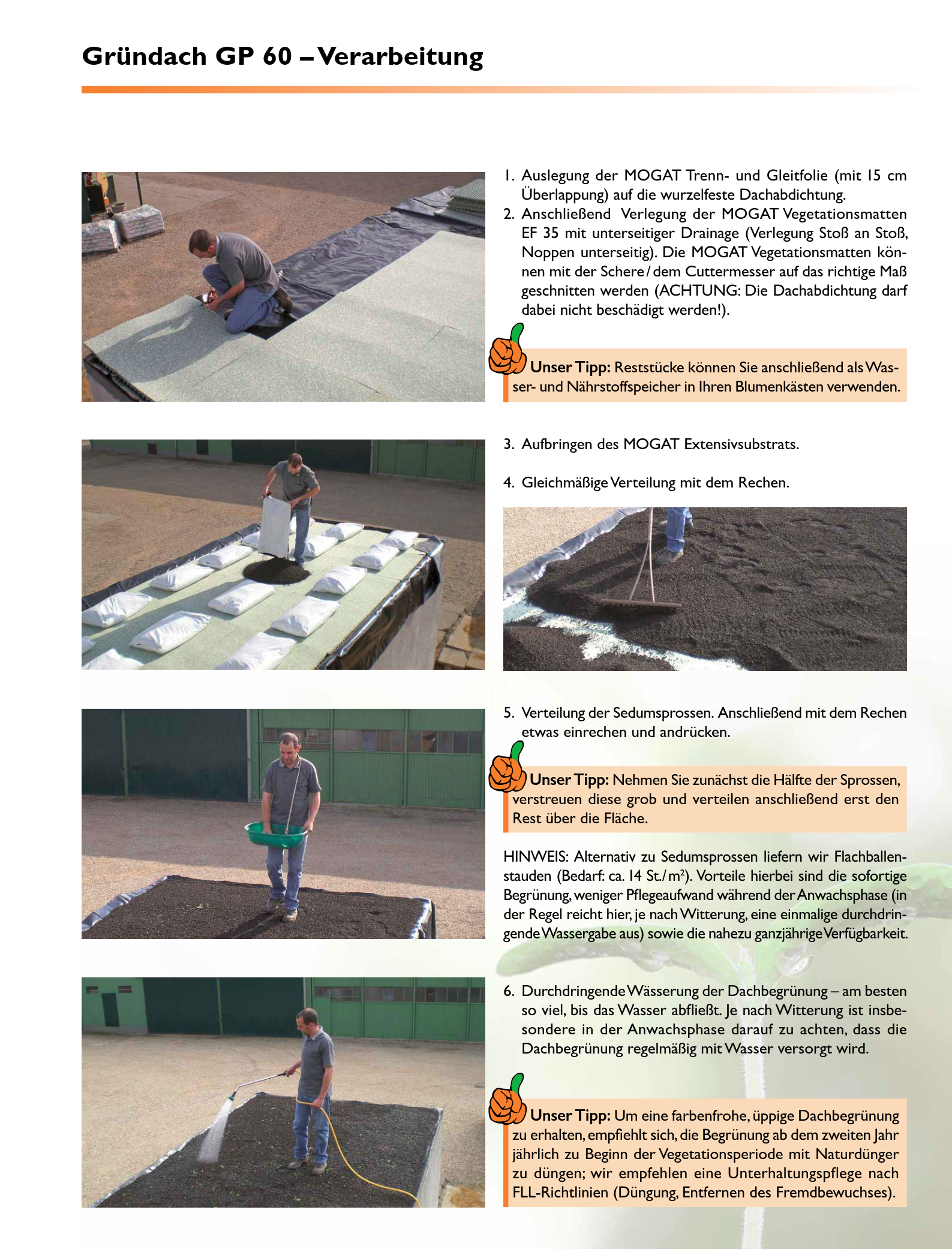 Gründach-Komplettpaket fürs Flachdach inkl. Substrat und Sprossen oder Flachballenstauden - Dachbegrünung - Dachbepflanzung